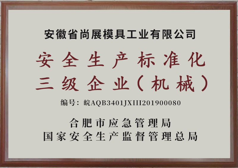 安全生產(chǎn)三級企業(yè)