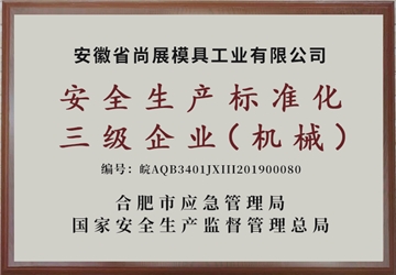 安全生產(chǎn)三級企業(yè)
